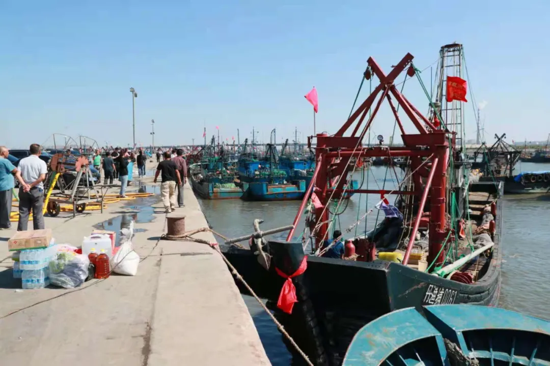 東港，開海了！海鮮批發(fā)海鮮零售請找仟貝福